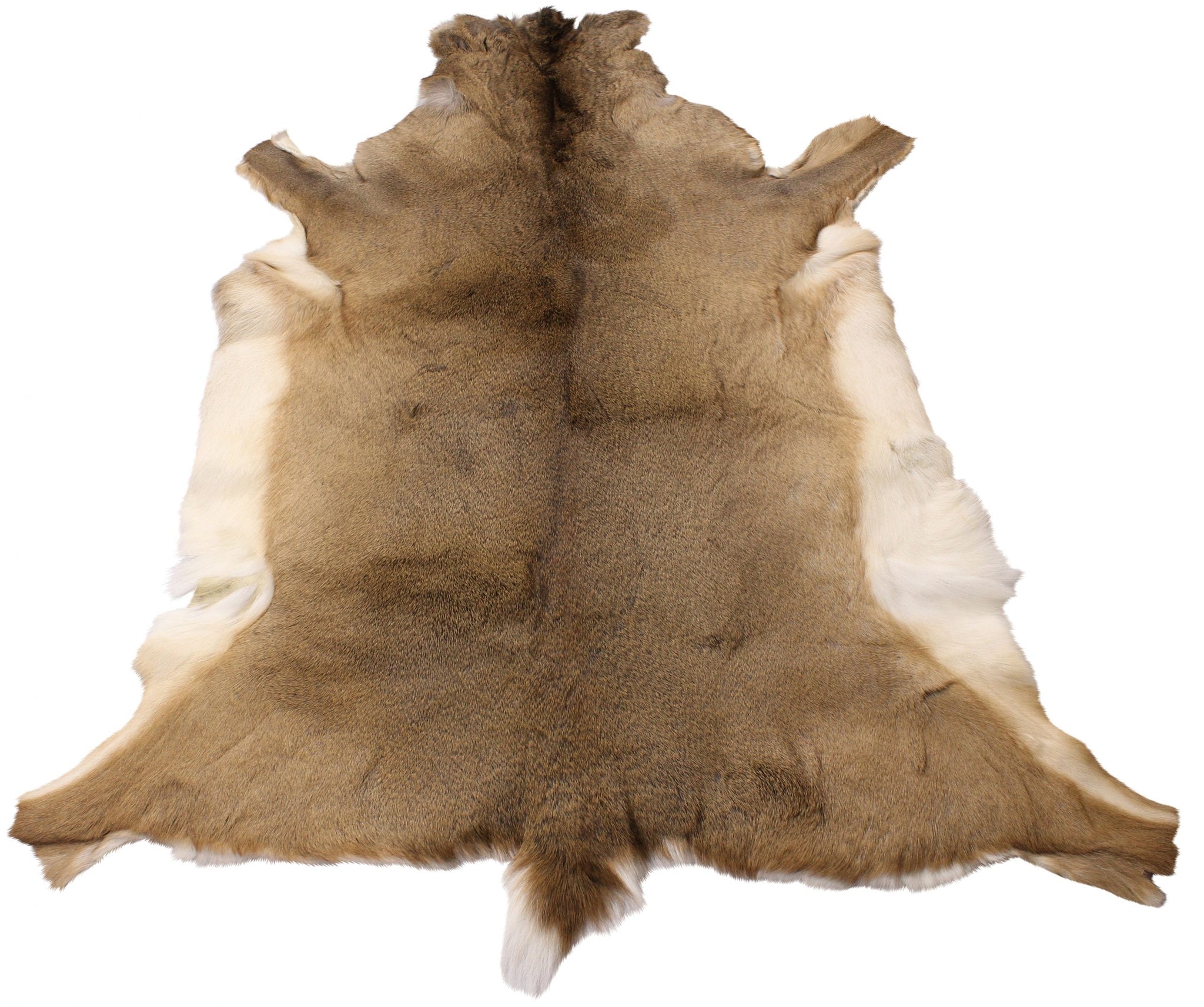 Extra Large White Tailed Deer Hide Rug