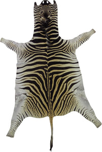 Burchell Zebra Hide Pelt Rug